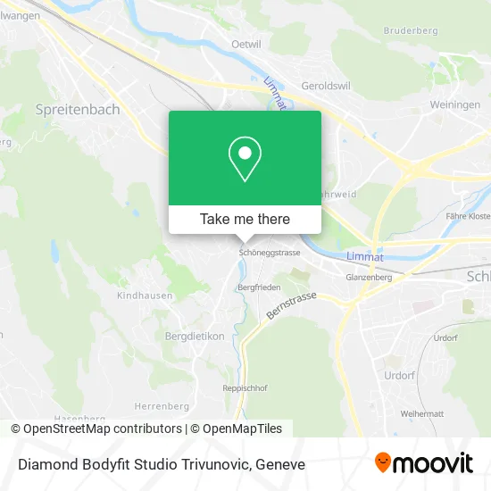 Diamond Bodyfit Studio Trivunovic map