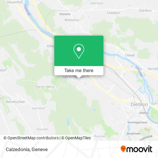 Calzedonia map