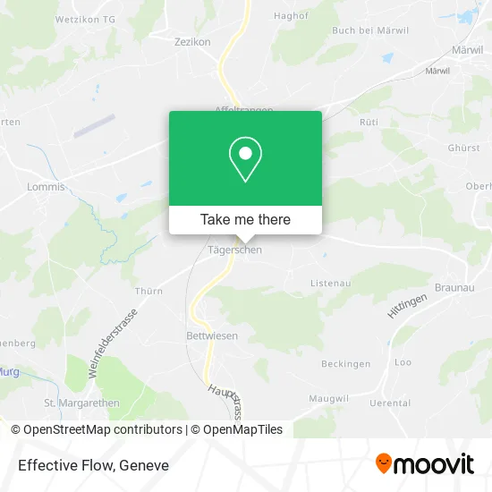 Effective Flow map