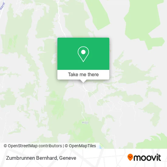 Zumbrunnen Bernhard map