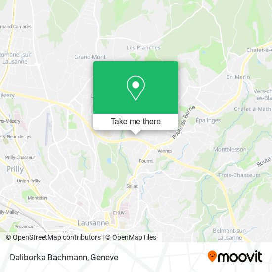 Daliborka Bachmann map