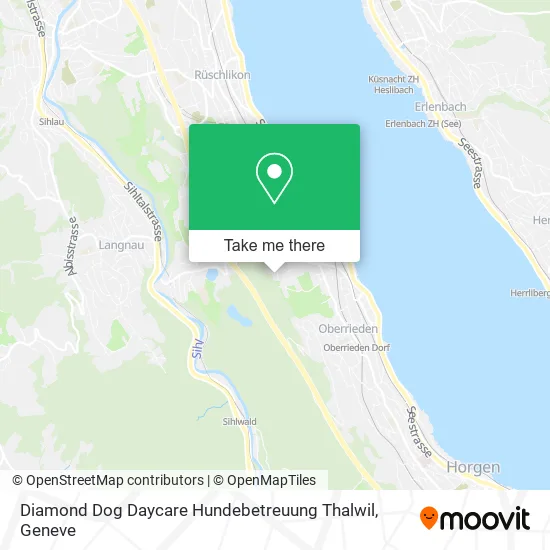 Diamond Dog Daycare Hundebetreuung Thalwil map