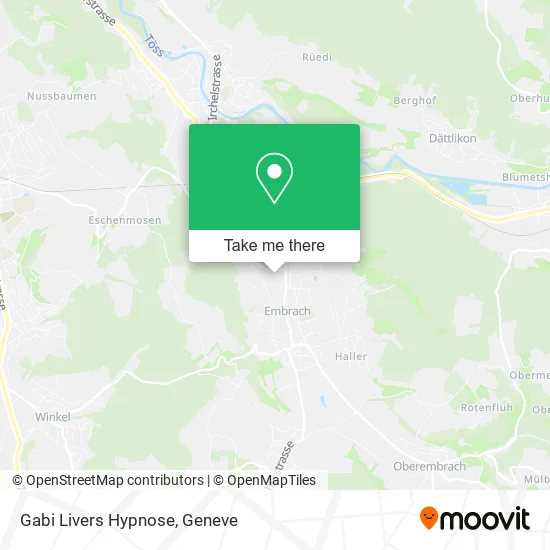 Gabi Livers Hypnose plan