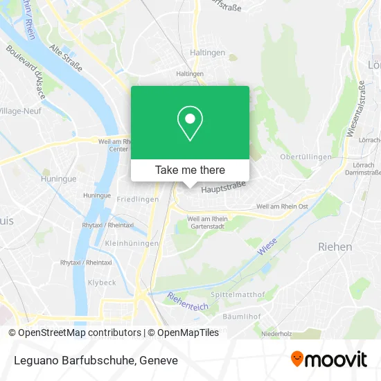 Leguano Barfubschuhe map