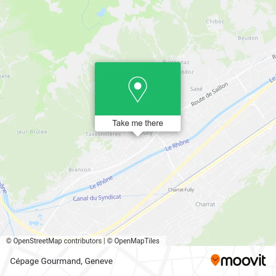 Cépage Gourmand plan