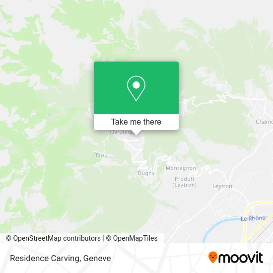 Residence Carving map