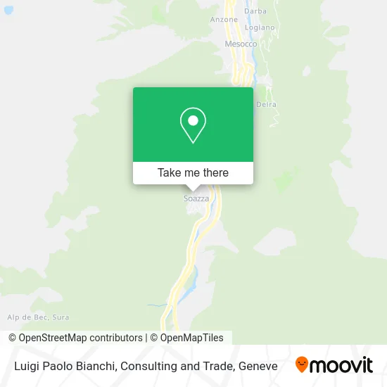 Luigi Paolo Bianchi, Consulting and Trade map