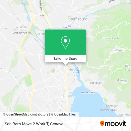 Sah Bern Move 2 Work T plan