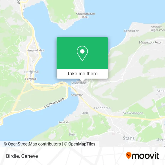 Birdie map