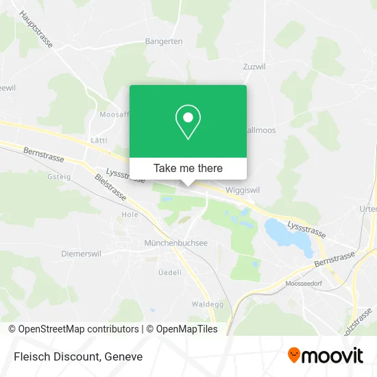 Fleisch Discount map