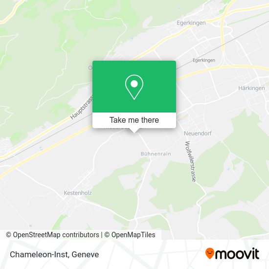 Chameleon-Inst map