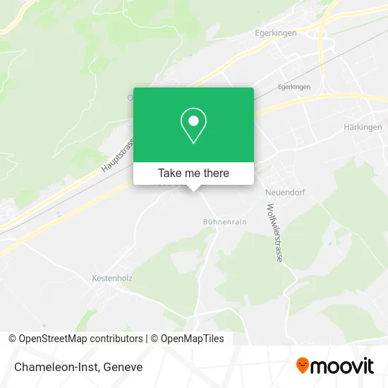 Chameleon-Inst map