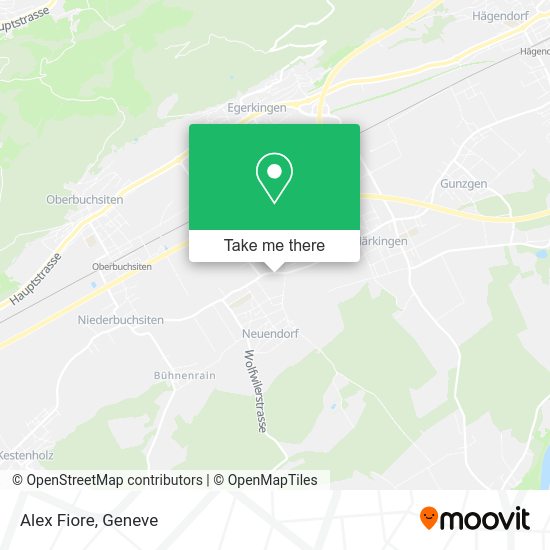 Alex Fiore map