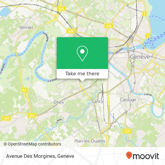 Avenue Des Morgines Karte