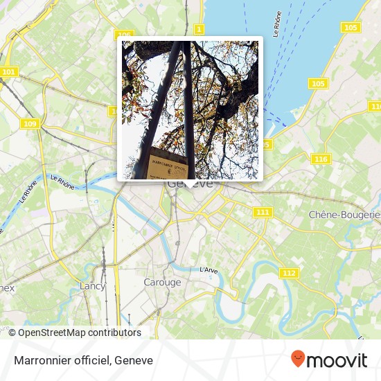 Marronnier officiel map