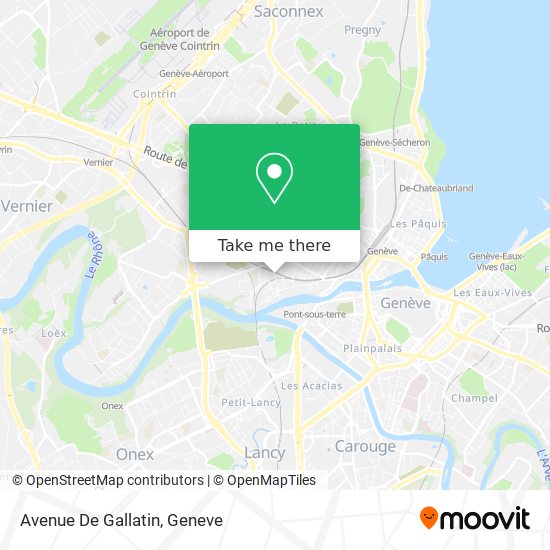 Avenue De Gallatin map