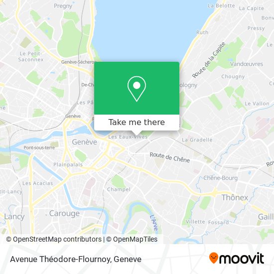 Avenue Théodore-Flournoy map