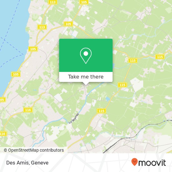 Des Amis, Route de Choulex 132 1244 Choulex Karte