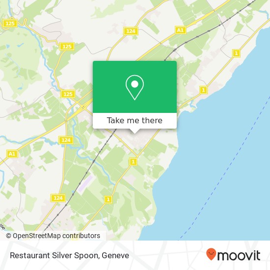 Restaurant Silver Spoon, Rue des Alpes 2 1196 Gland Karte