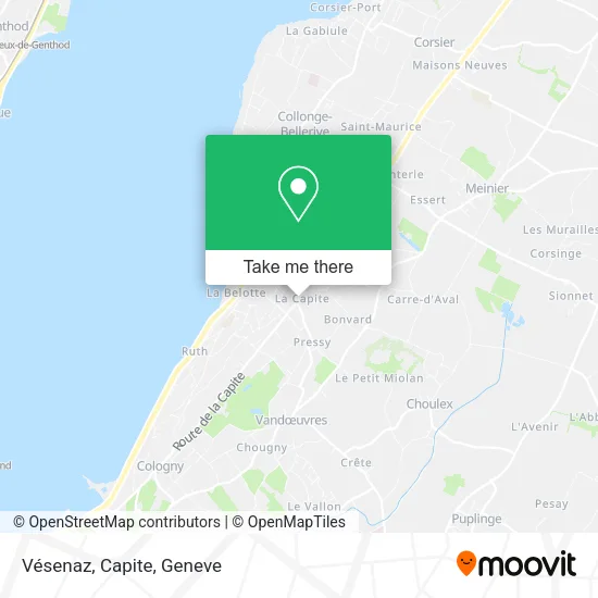 Vésenaz, Capite map