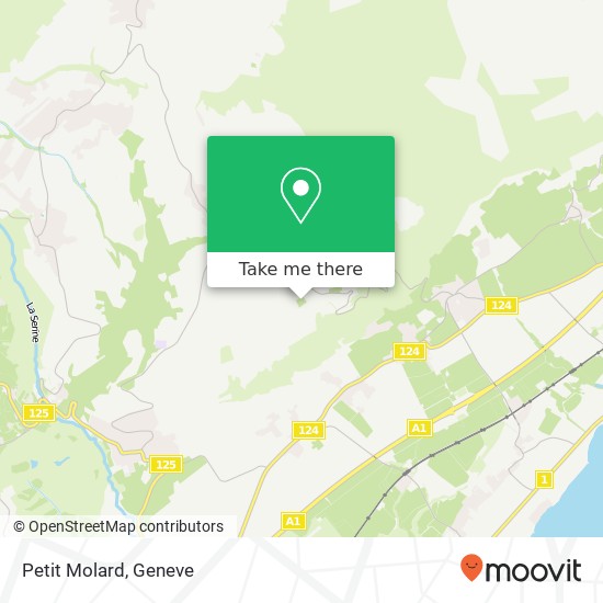 Petit Molard map