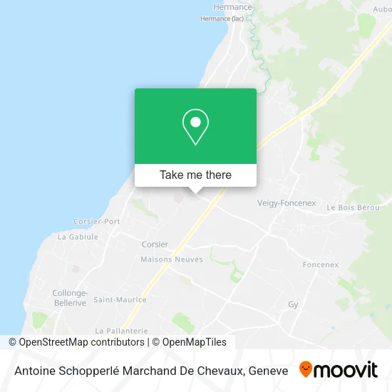 Antoine Schopperlé Marchand De Chevaux map