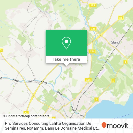 Pro Services Consulting Lafitte Organisation De Séminaires, Notamm. Dans Le Domaine Médical Etc Karte