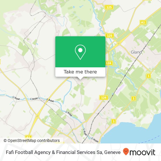 Fafi Football Agency & Financial Services Sa Karte