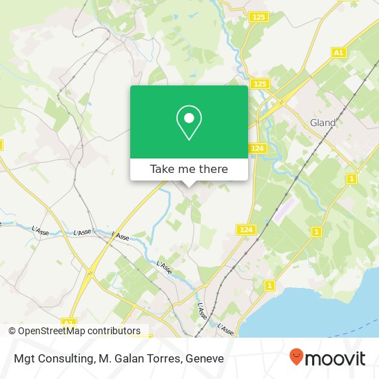 Mgt Consulting, M. Galan Torres map