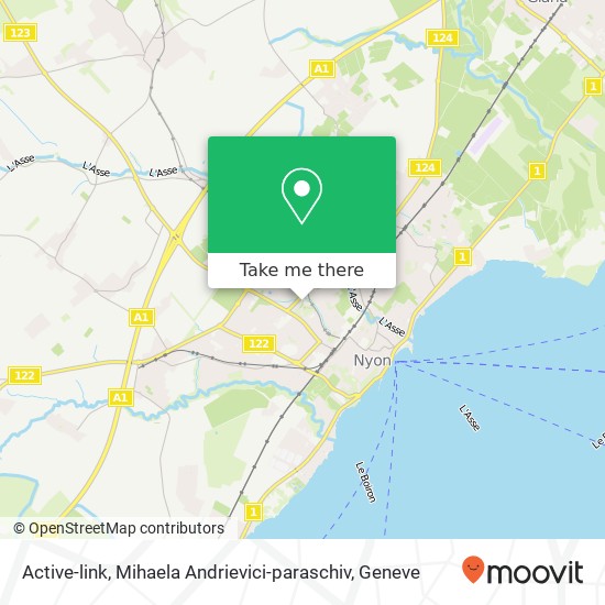 Active-link, Mihaela Andrievici-paraschiv map