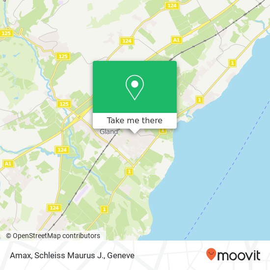 Amax, Schleiss Maurus J. map