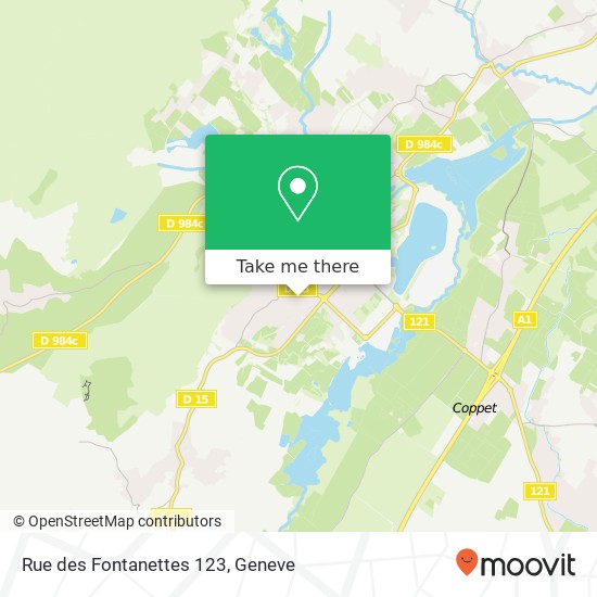 Rue des Fontanettes 123 Karte