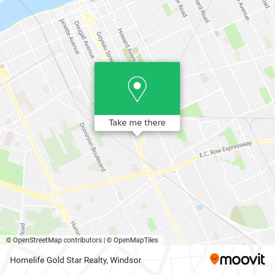 Homelife Gold Star Realty map