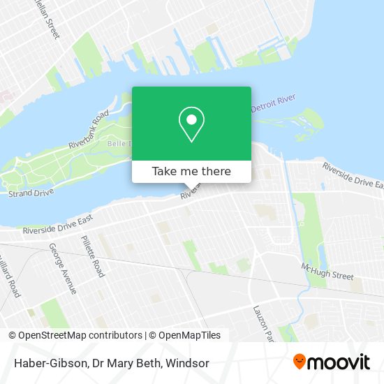 Haber-Gibson, Dr Mary Beth plan