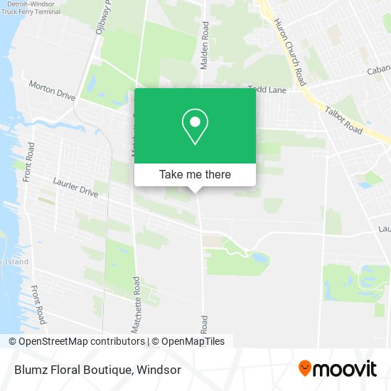 Blumz Floral Boutique map