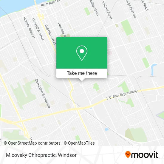 Micovsky Chiropractic map