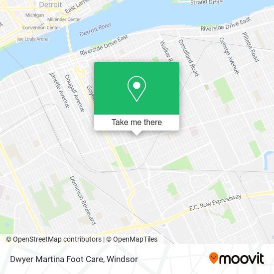 Dwyer Martina Foot Care plan
