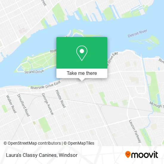 Laura's Classy Canines map