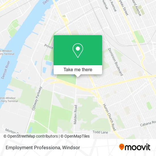 Employment Professiona map