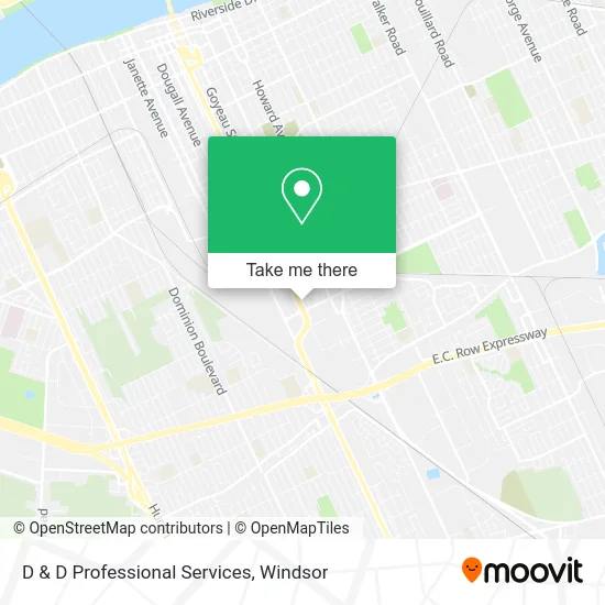 D & D Professional Services plan
