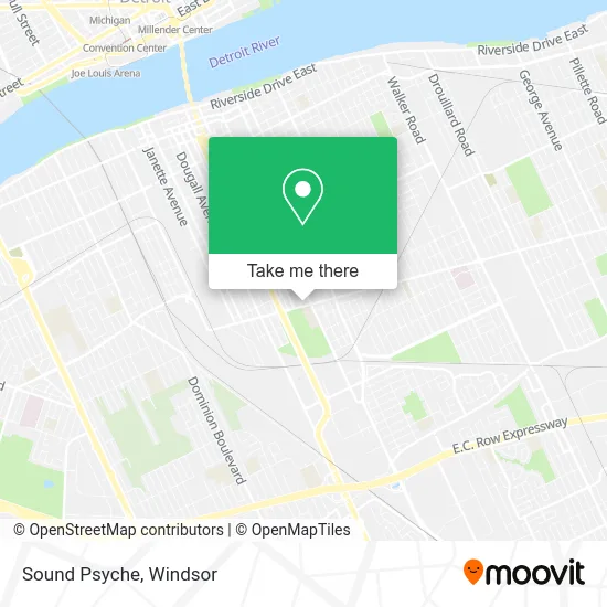 Sound Psyche plan