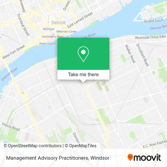 Management Advisory Practitioners map