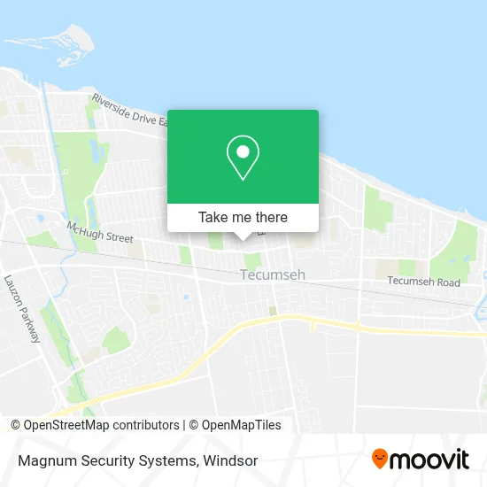 Magnum Security Systems map