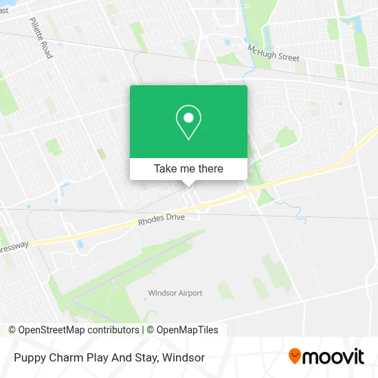 Puppy Charm Play And Stay map
