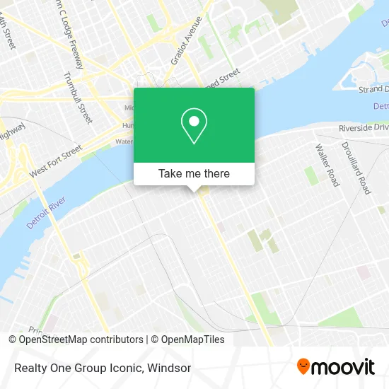 Realty One Group Iconic map