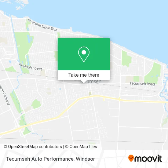 Tecumseh Auto Performance map