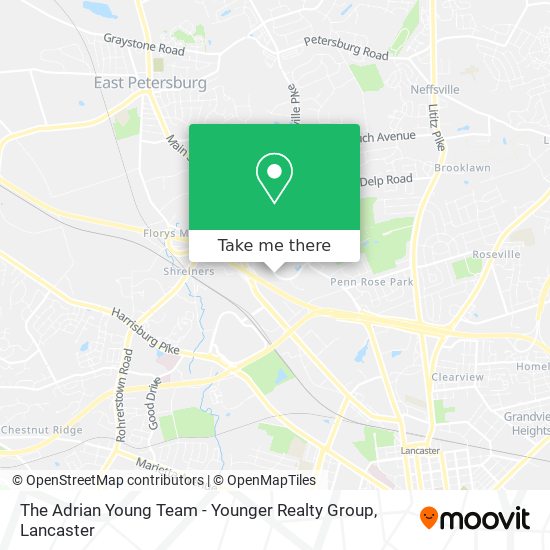 The Adrian Young Team - Younger Realty Group map