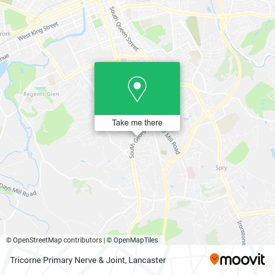 Mapa de Tricorne Primary Nerve & Joint
