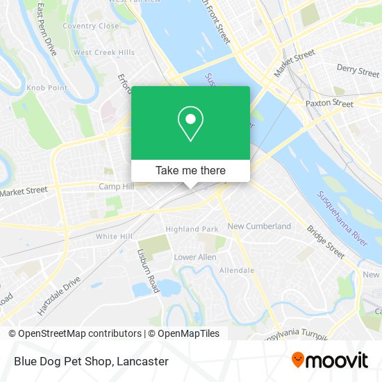 Mapa de Blue Dog Pet Shop