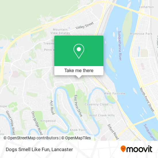 Dogs Smell Like Fun map